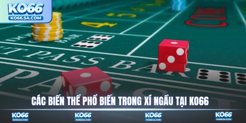 Các biến thể phổ biến trong xí ngầu tại KO66