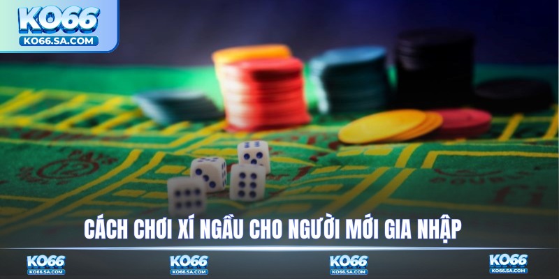 Cách chơi xí ngầu cho người mới gia nhập
