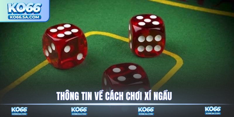 Thông tin về cách chơi xí ngầu