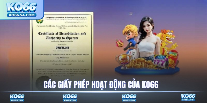Các giấy phép hoạt động của KO66