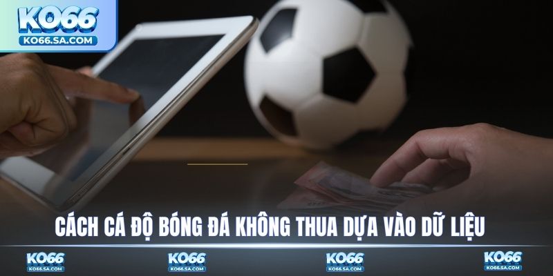 Cách cá độ bóng đá không thua dựa vào dữ liệu phân tích